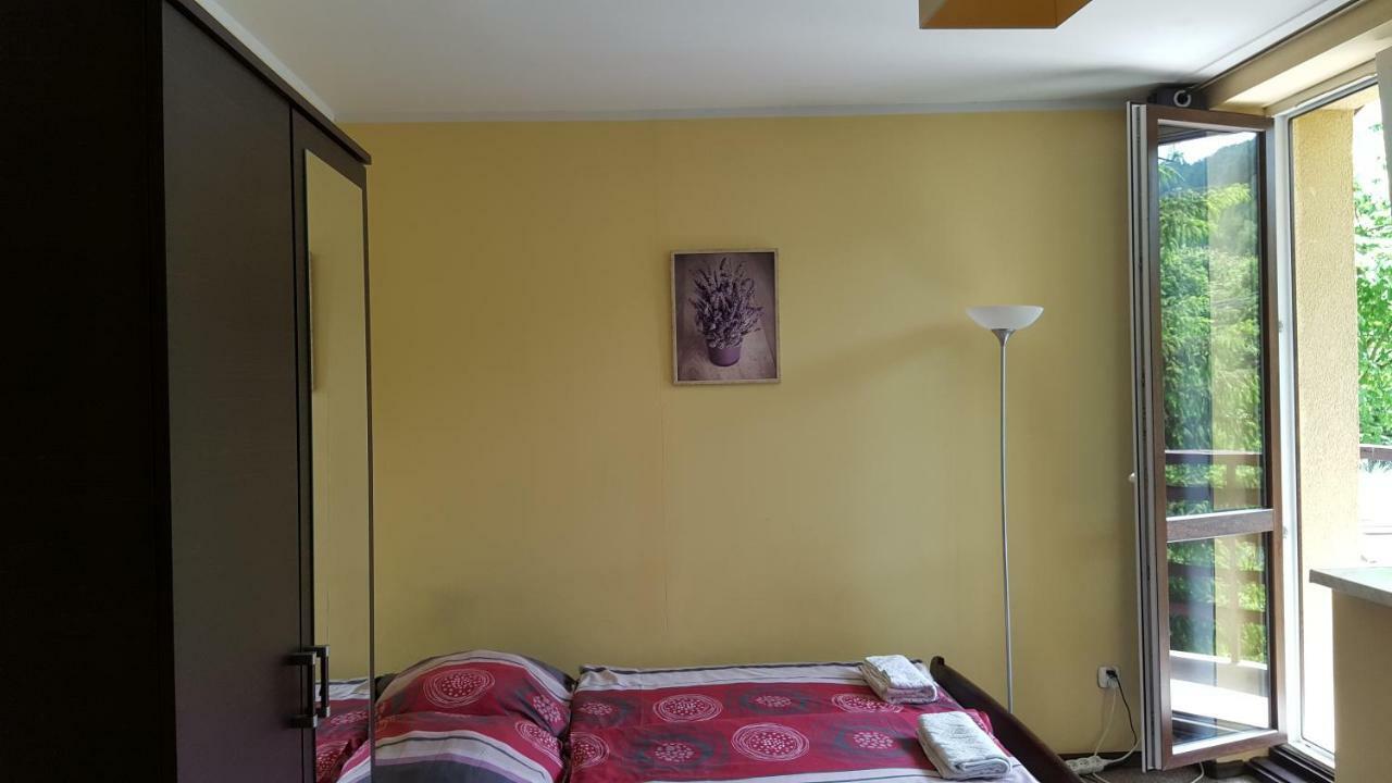 Niezapominajka Bed and Breakfast Szczyrk Εξωτερικό φωτογραφία