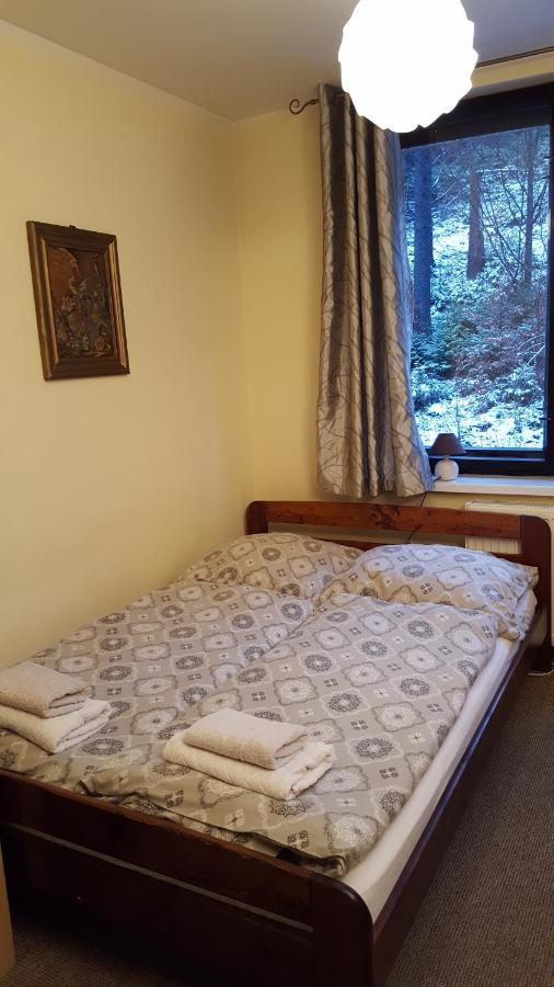 Niezapominajka Bed and Breakfast Szczyrk Εξωτερικό φωτογραφία