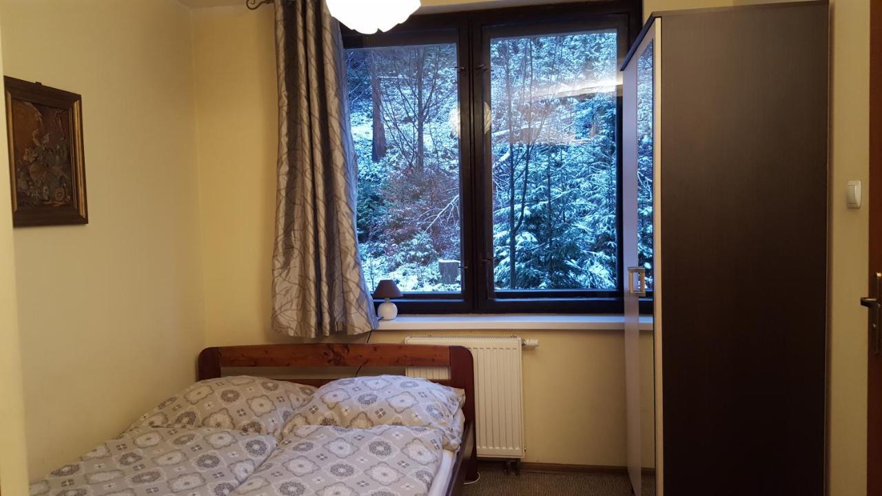 Niezapominajka Bed and Breakfast Szczyrk Εξωτερικό φωτογραφία